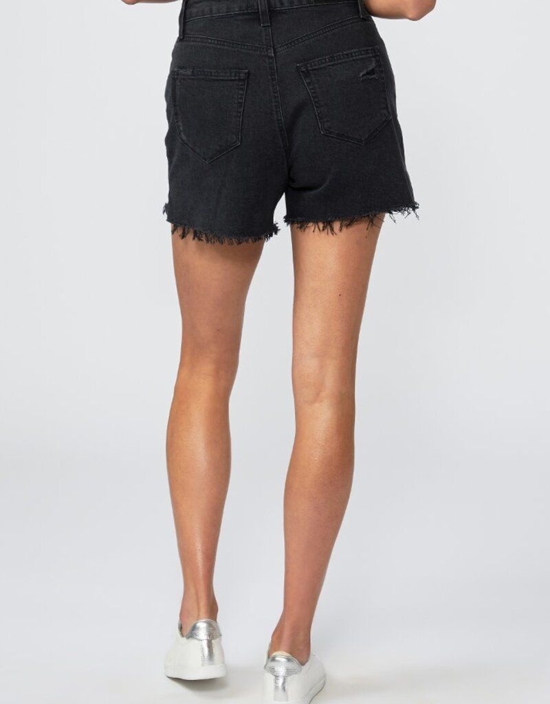 Paige Dani Short - Dark Raven Destructed