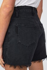 Paige Dani Short - Dark Raven Destructed