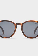 Le Specs Bandwagon - Matte Tort