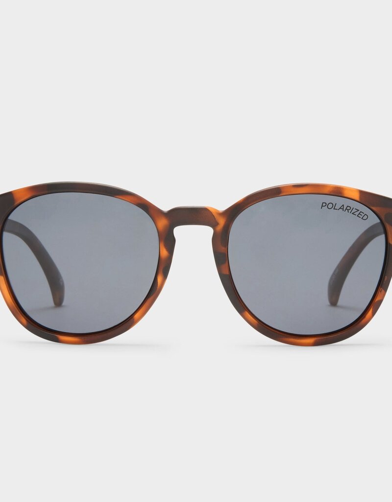 Le Specs Bandwagon - Matte Tort