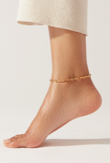 Jenny Bird Dhani Anklet - Gold