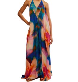 Free People Catalina Maxi