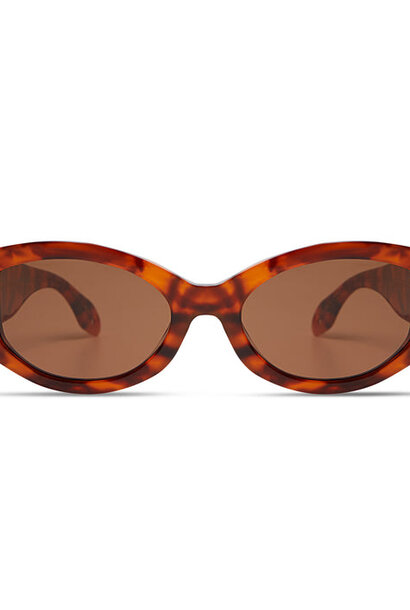 Jeannie - Brown Tortoise