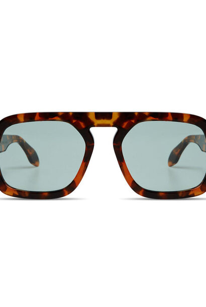 Jane - Brown Tortoise