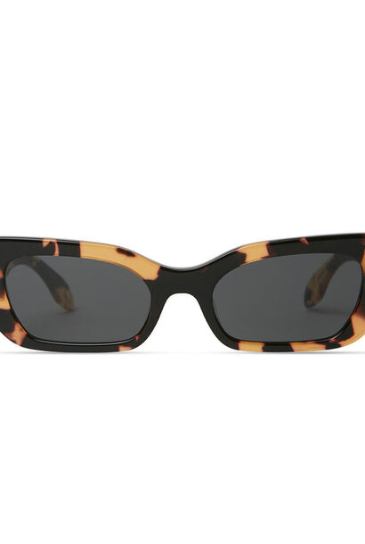 Cookie - Brown Tortoise