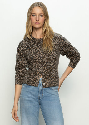 Sanctuary Must-Have Cardi
