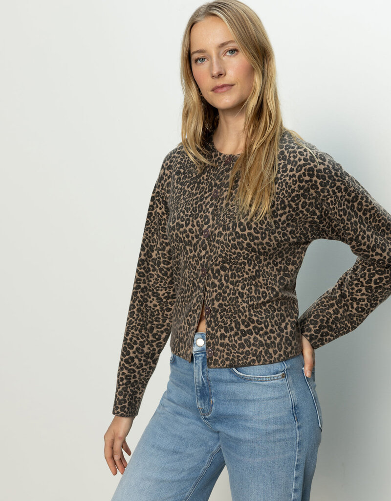 Sanctuary Must-Have Cardi