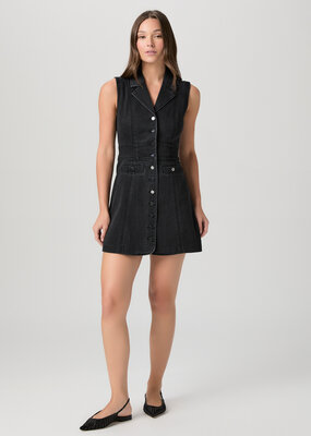 Paige Vida Dress
