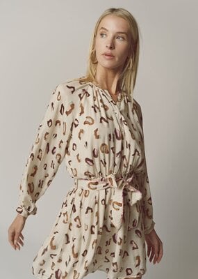 The Shirt Taryn Dress