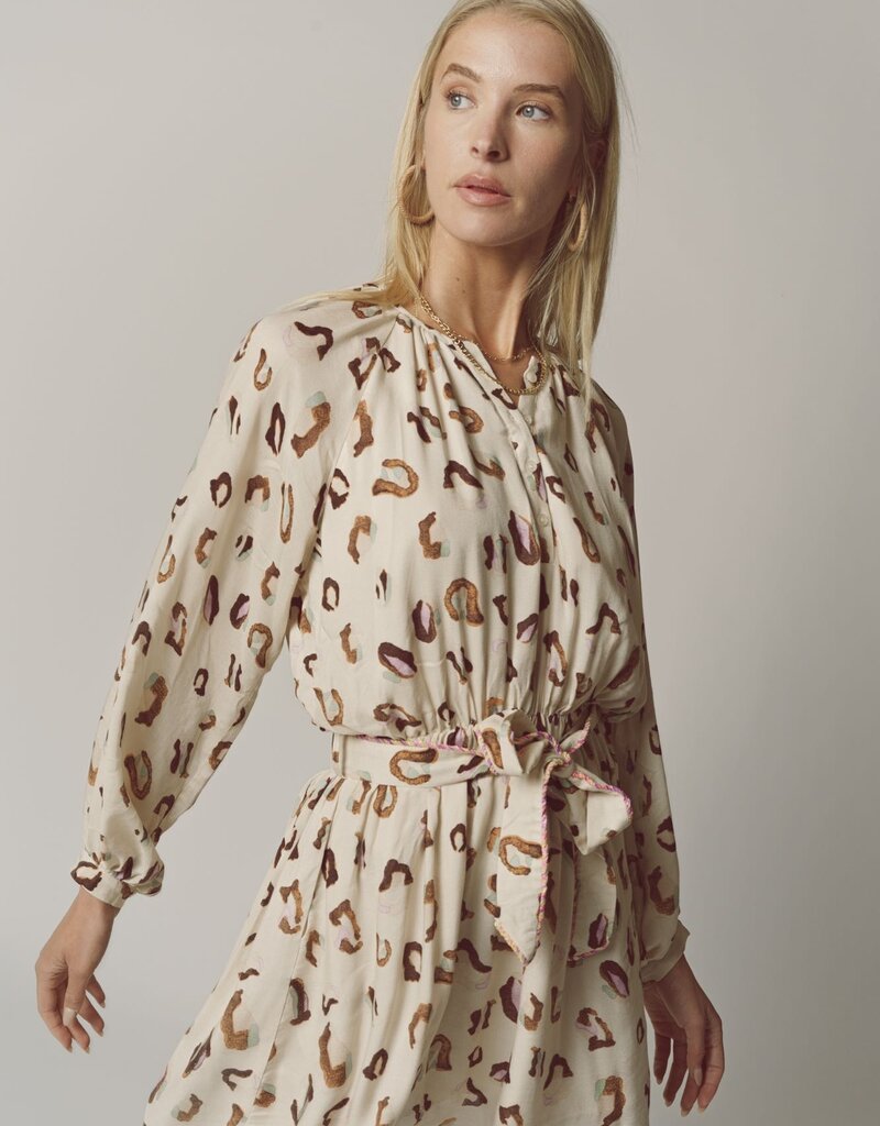 The Shirt Taryn Dress