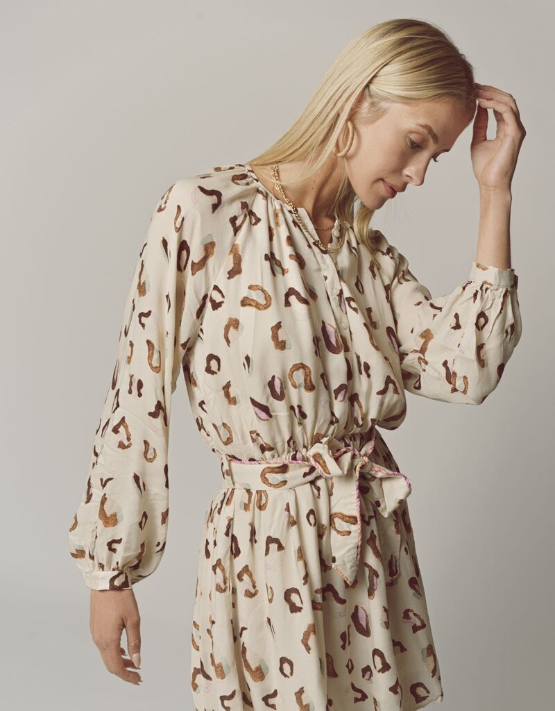 The Shirt Taryn Dress