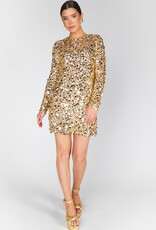 Show Me Your Mumu Maddison Mini Dress