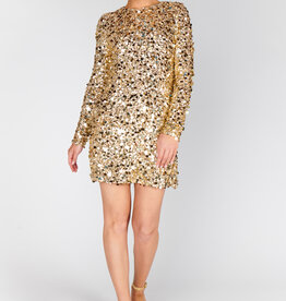 Show Me Your Mumu Maddison Mini Dress