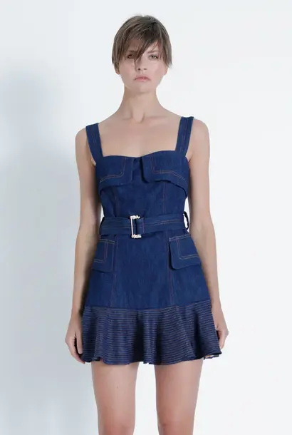 Dakota Denim Mini Dress