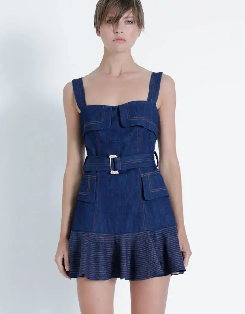 Karina Grimaldi Dakota Denim Mini Dress