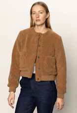 Sanctuary Teddy Cardi