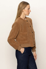 Sanctuary Teddy Cardi