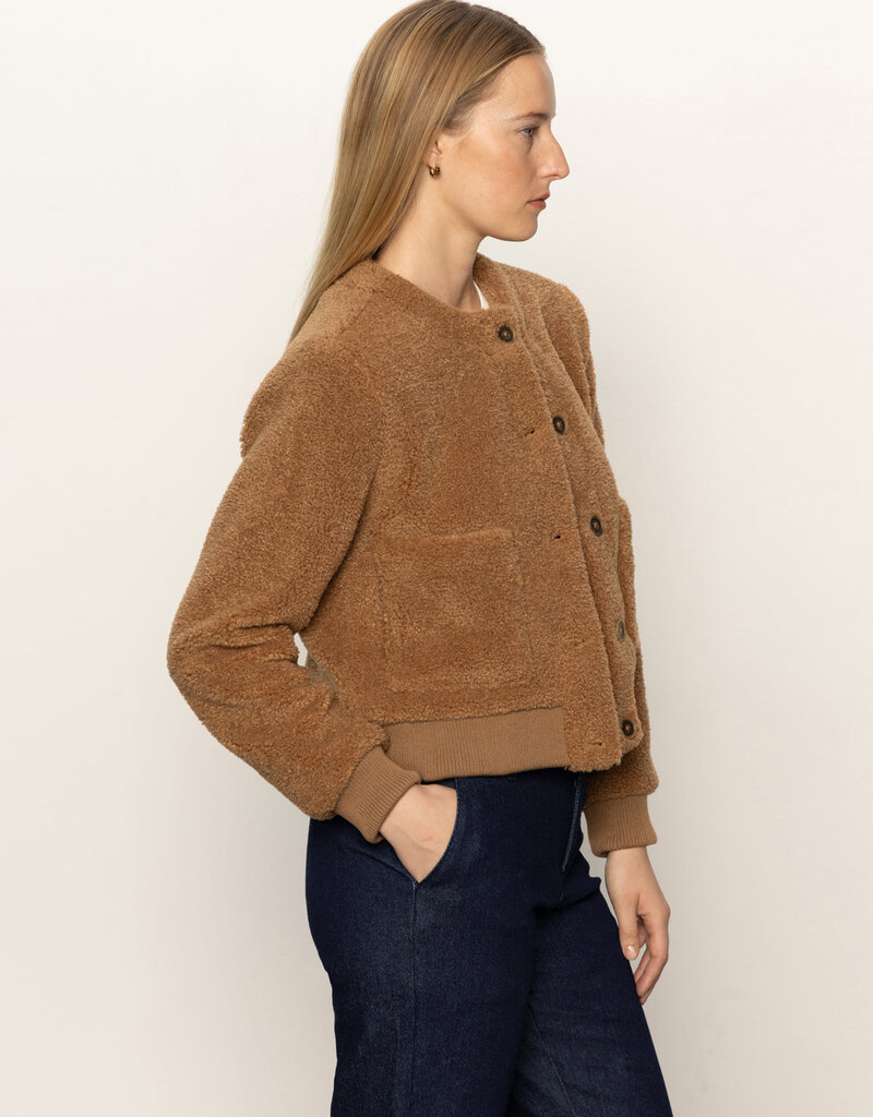 Sanctuary Teddy Cardi