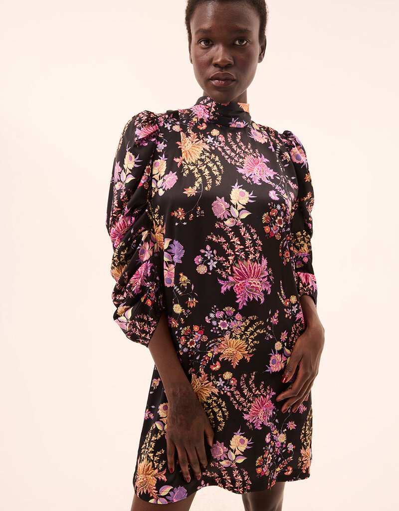 Misa Kelly Dress
