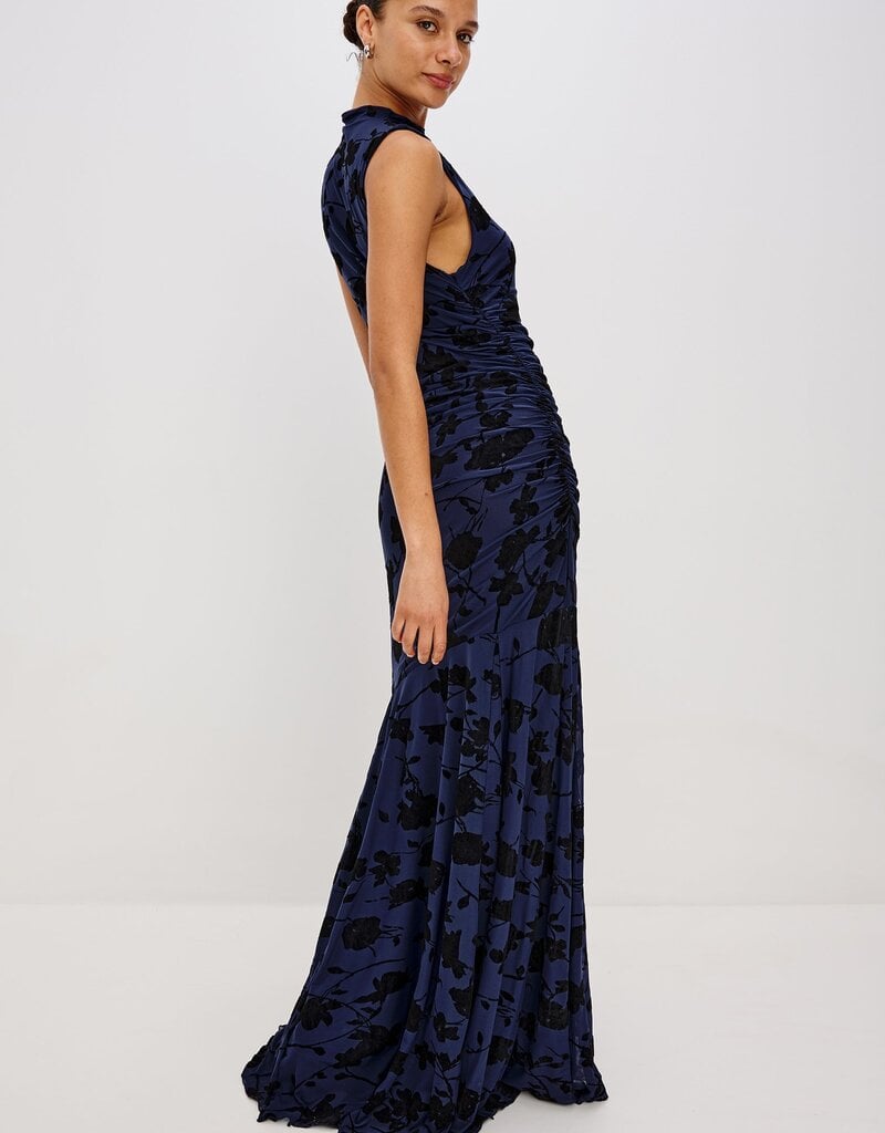 Rails Cosmos Dress
