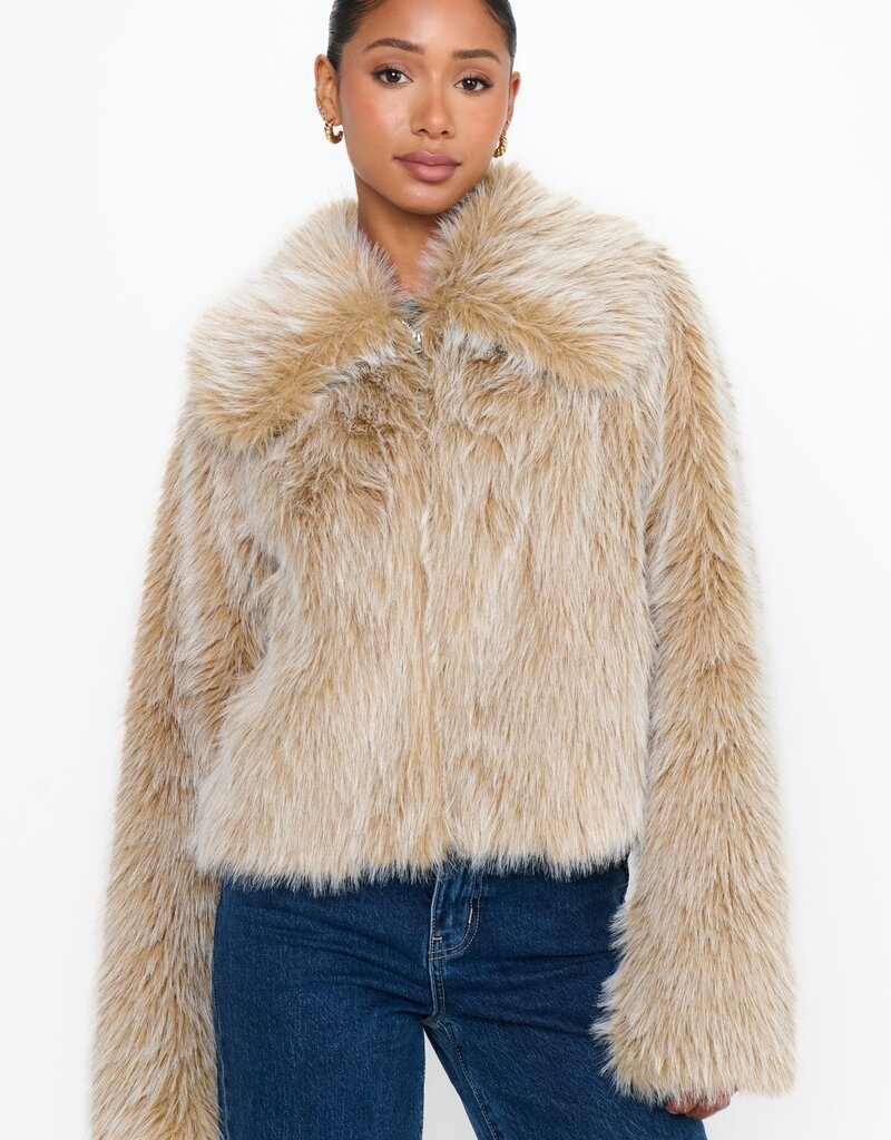 Show Me Your Mumu Park City Jacket