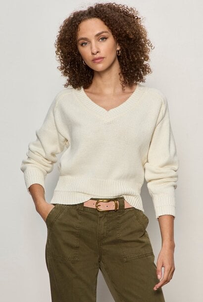 Perfect V Neck Sweater