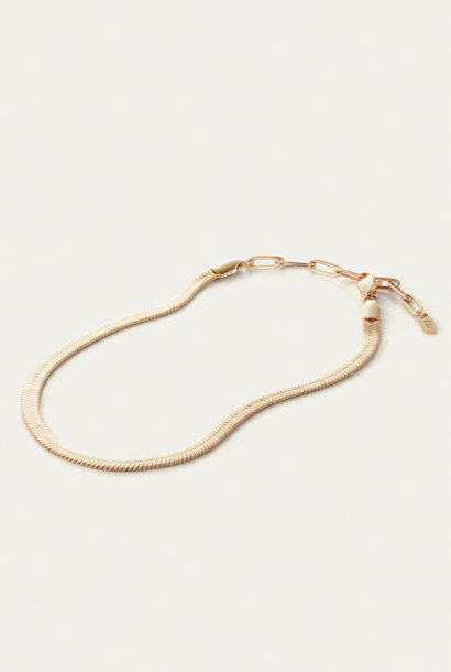 Zeina Anklet