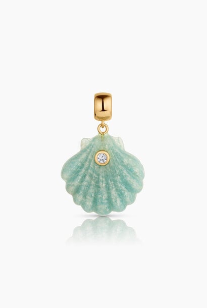 Coquille Amazonite Shell Bail Charm