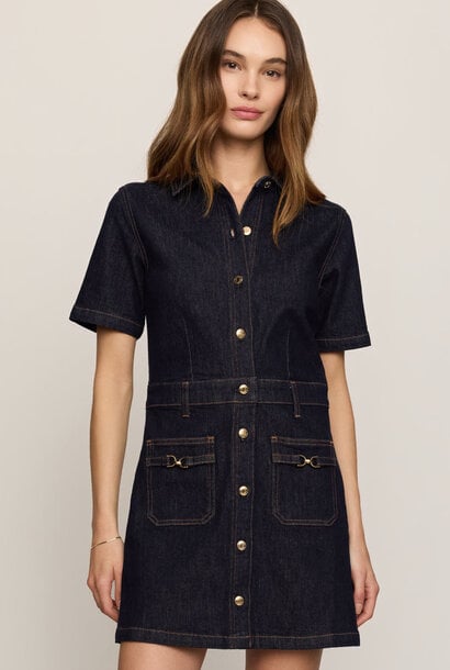Crush Denim Mini Dress