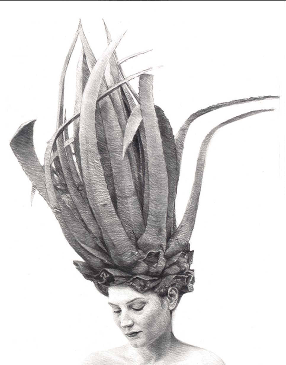 MAY AGAVE 36x26.75 Edition #2