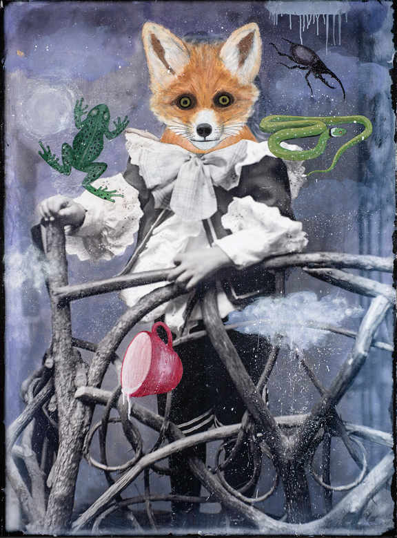 FOX DIVINING *SOLD*