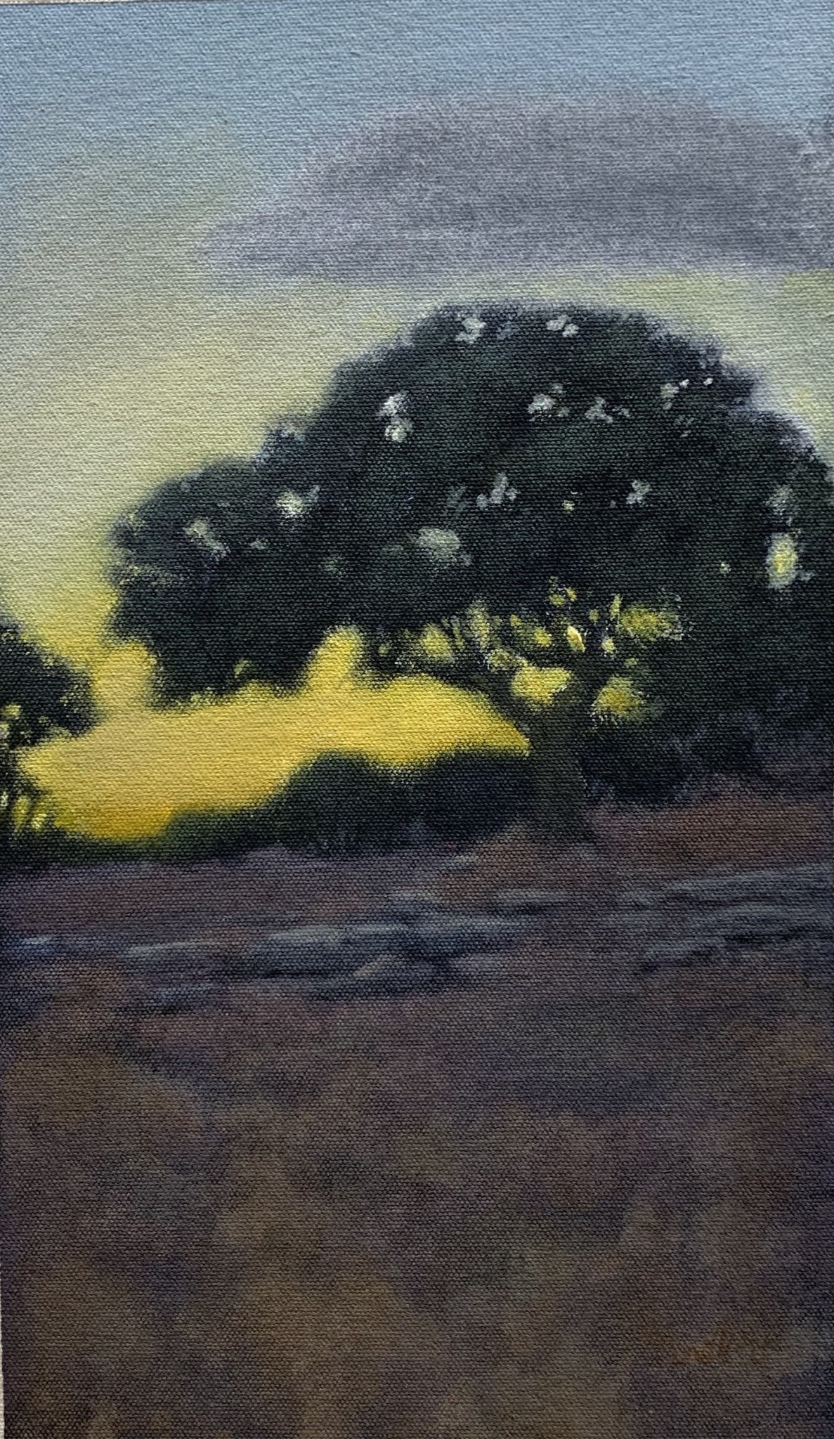 SMALL UNTITLED 24 *Sold*