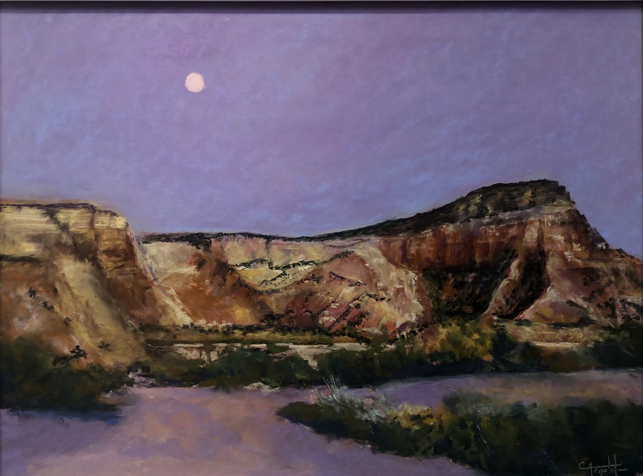 Carol Arnold | 26x32 | Pink Moon
