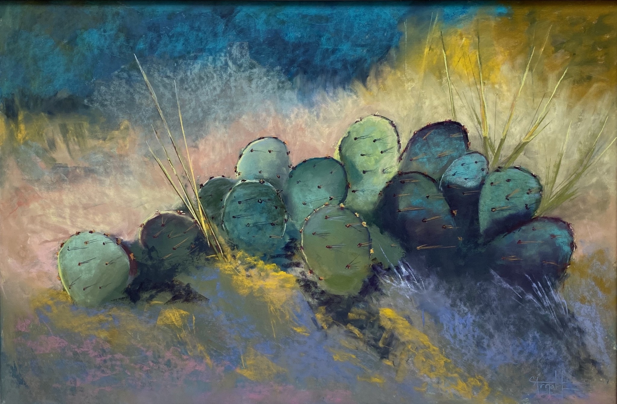 Opuntia *Sold*