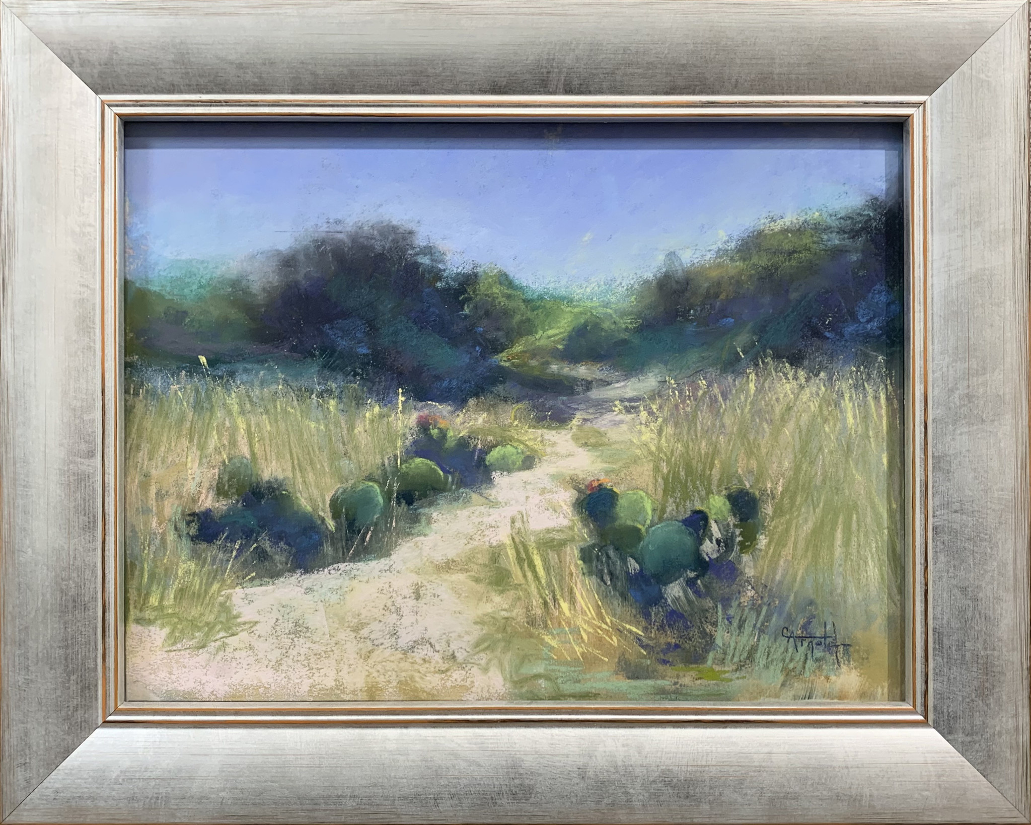 Hill Country Path *Sold*