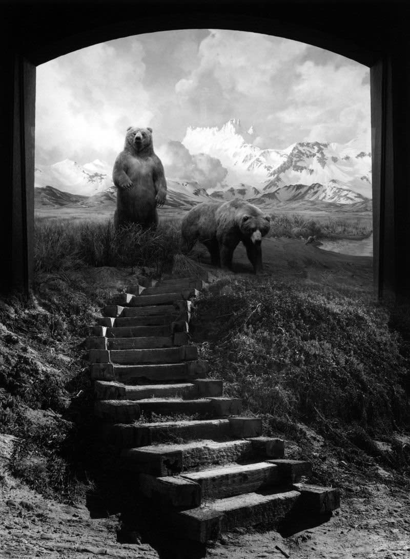 Untitled, 1996 - Bears and Stairs | 20x16
