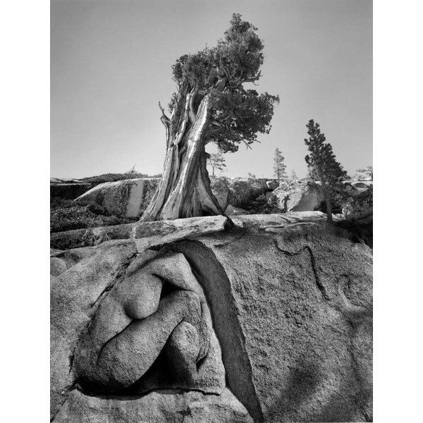 Untitled, 1997 - Figure in Rock | 20x16