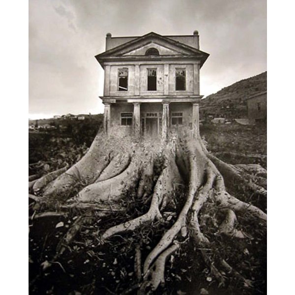 Untitled, 1982 - House on Tree Root *Sold*