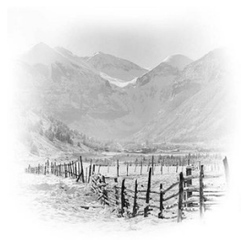 Winter Vignette | Poster