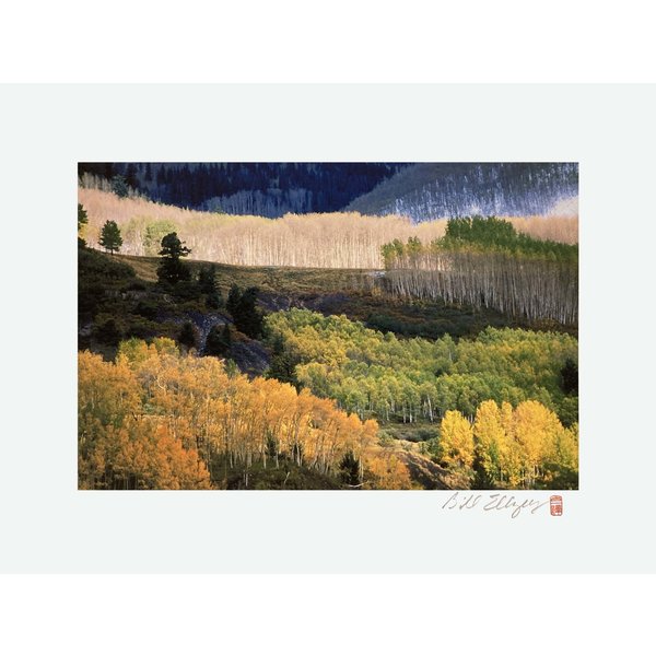Telluride Series - 77 Aspen Autumn Variety | 5x7