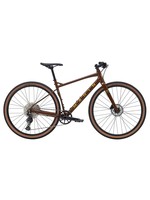 Marin Bikes 2022 DSX 2