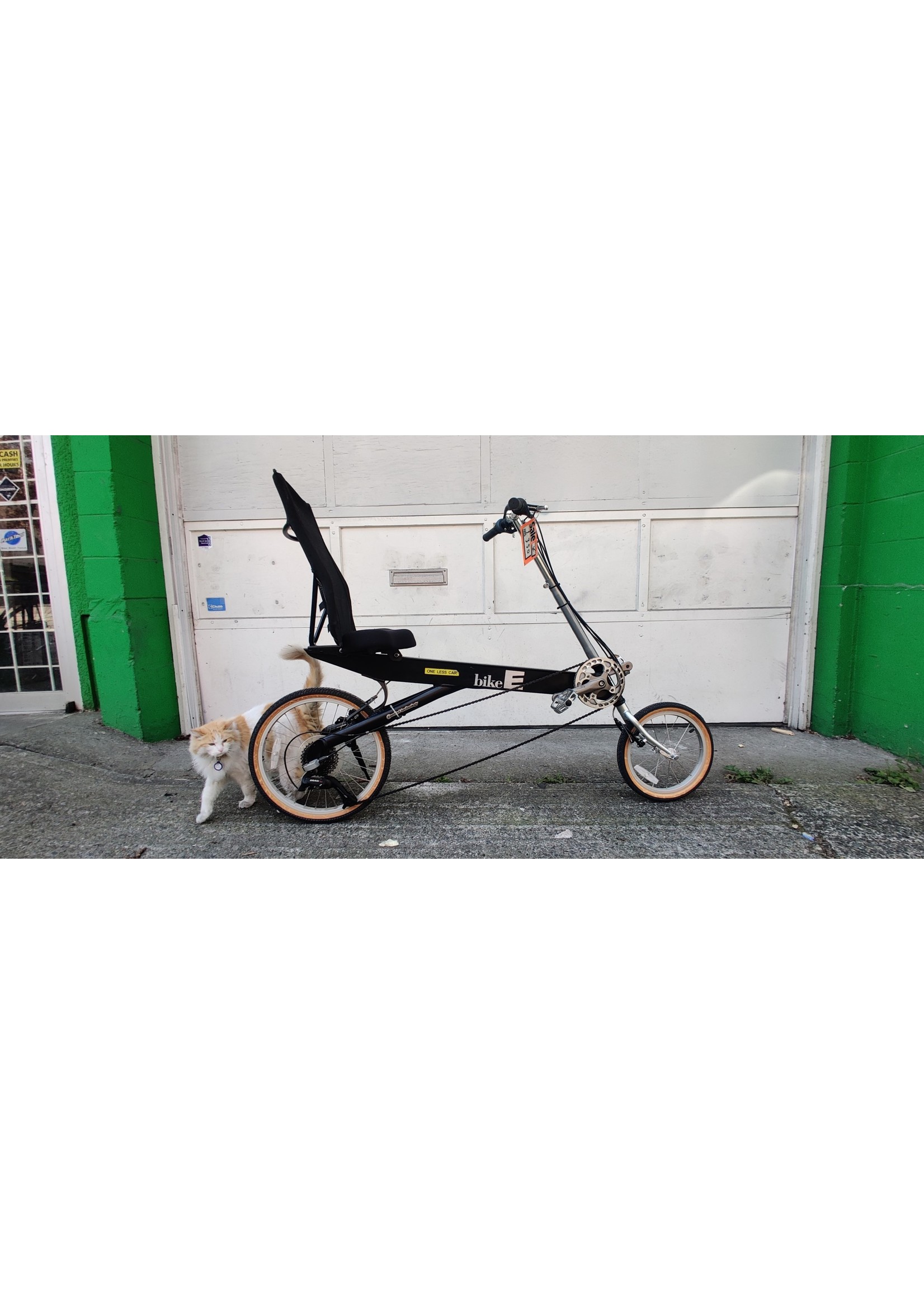 Bike-E recumbent - Bikes For All