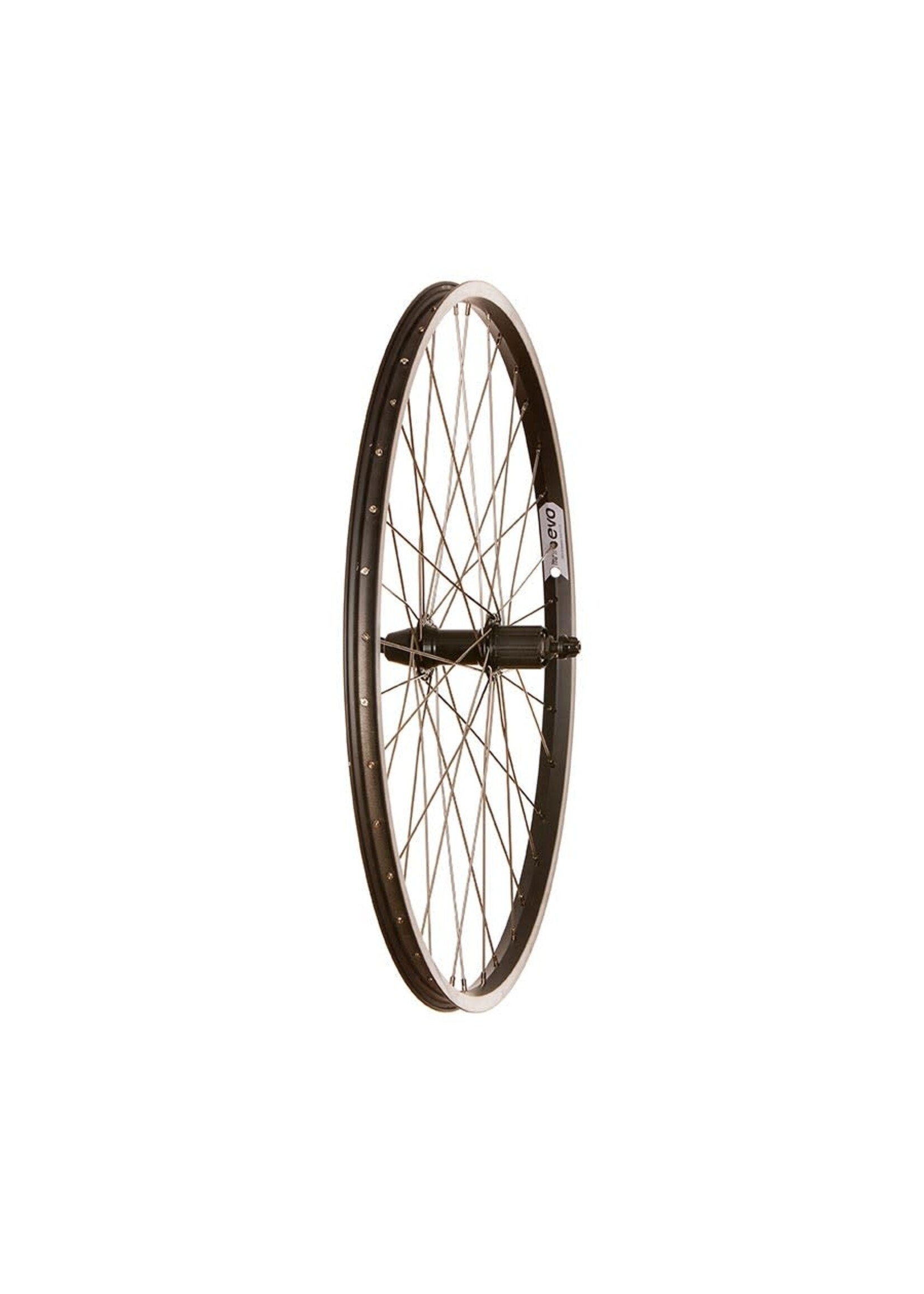 Wheel Shop 26" 135mm 36H QR EVO Tour 20/Shimano HG Wheel Shop