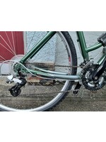 Giant Cypress DX Large Green
