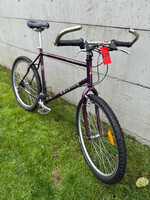 Raleigh Raleigh Serengeti