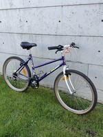 Raleigh Raleigh Purple Medium