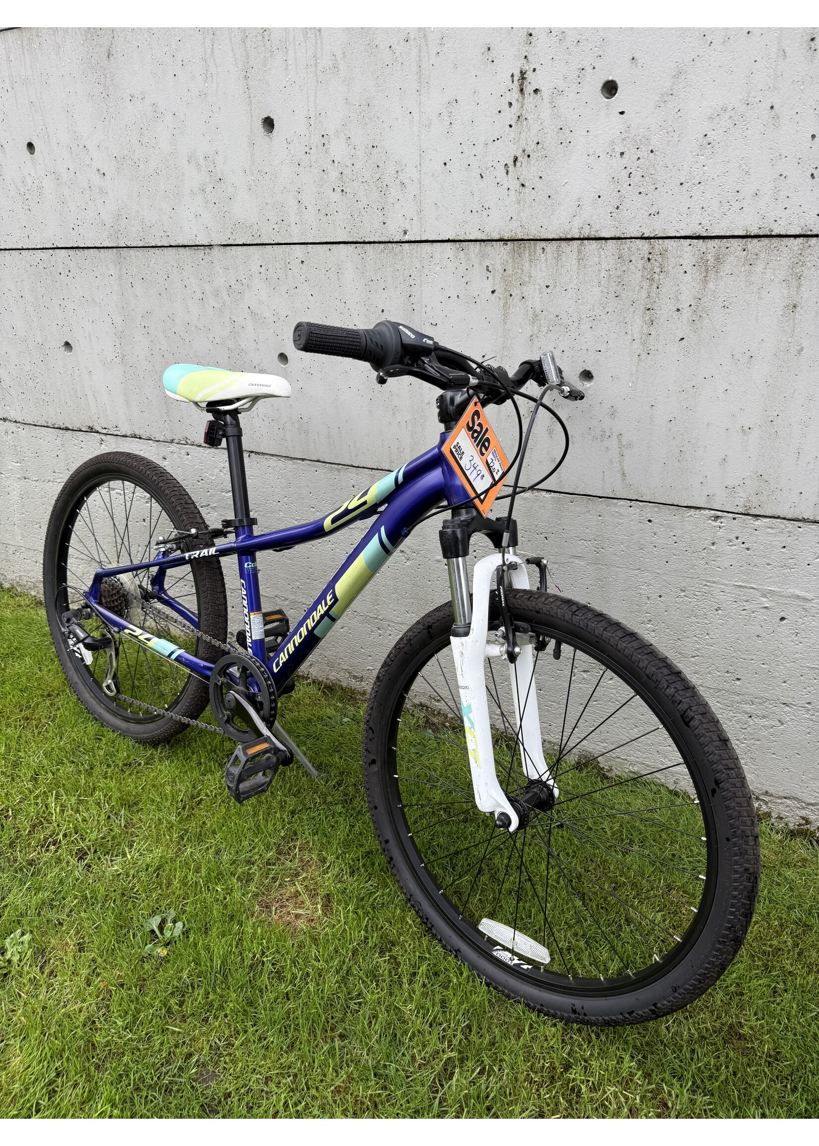 Cannondale Cannondale purple trail 24"