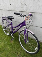Schwinn Schwinn Purple Cruiser