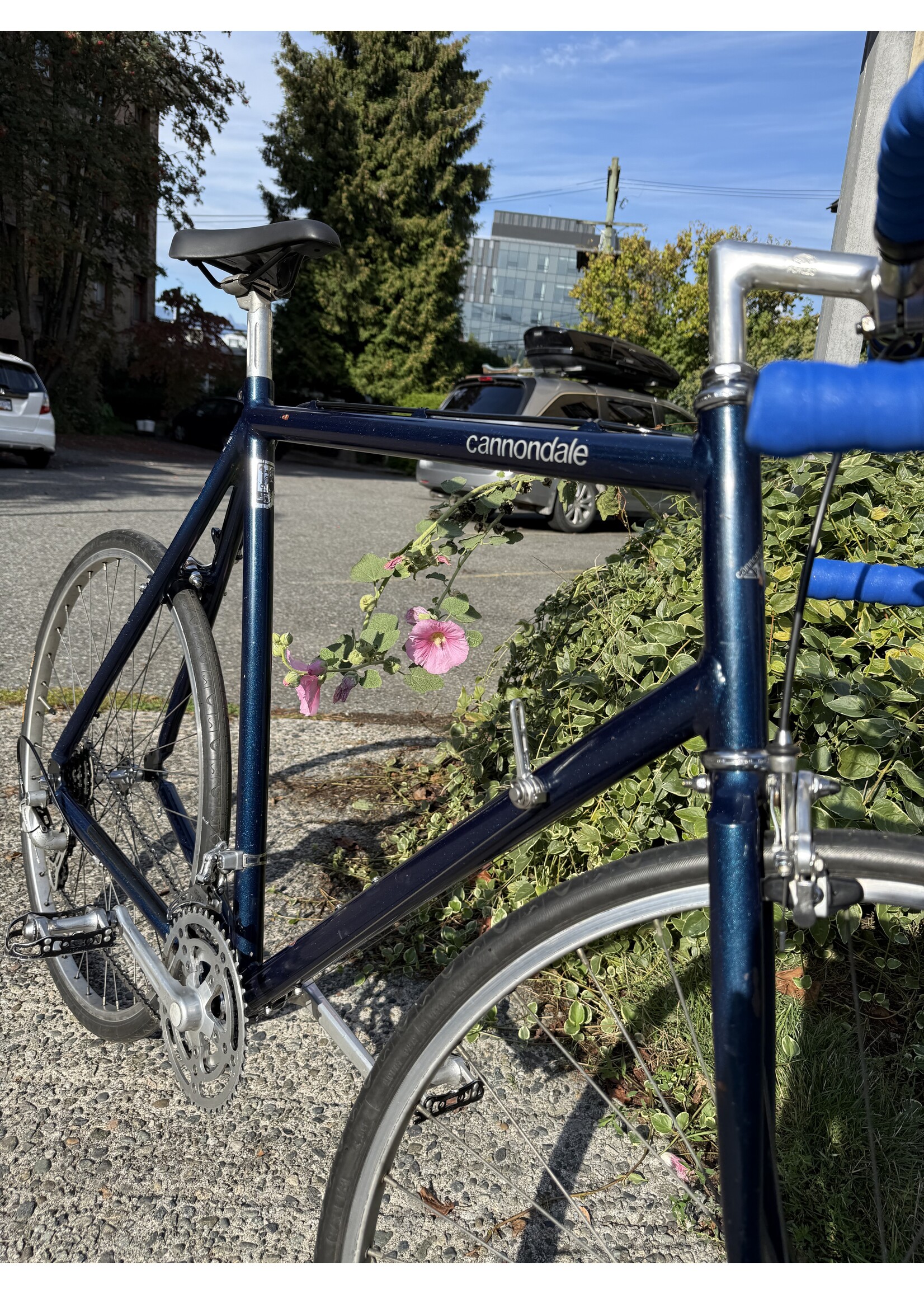 Cannondale Cannondale Vintage Road