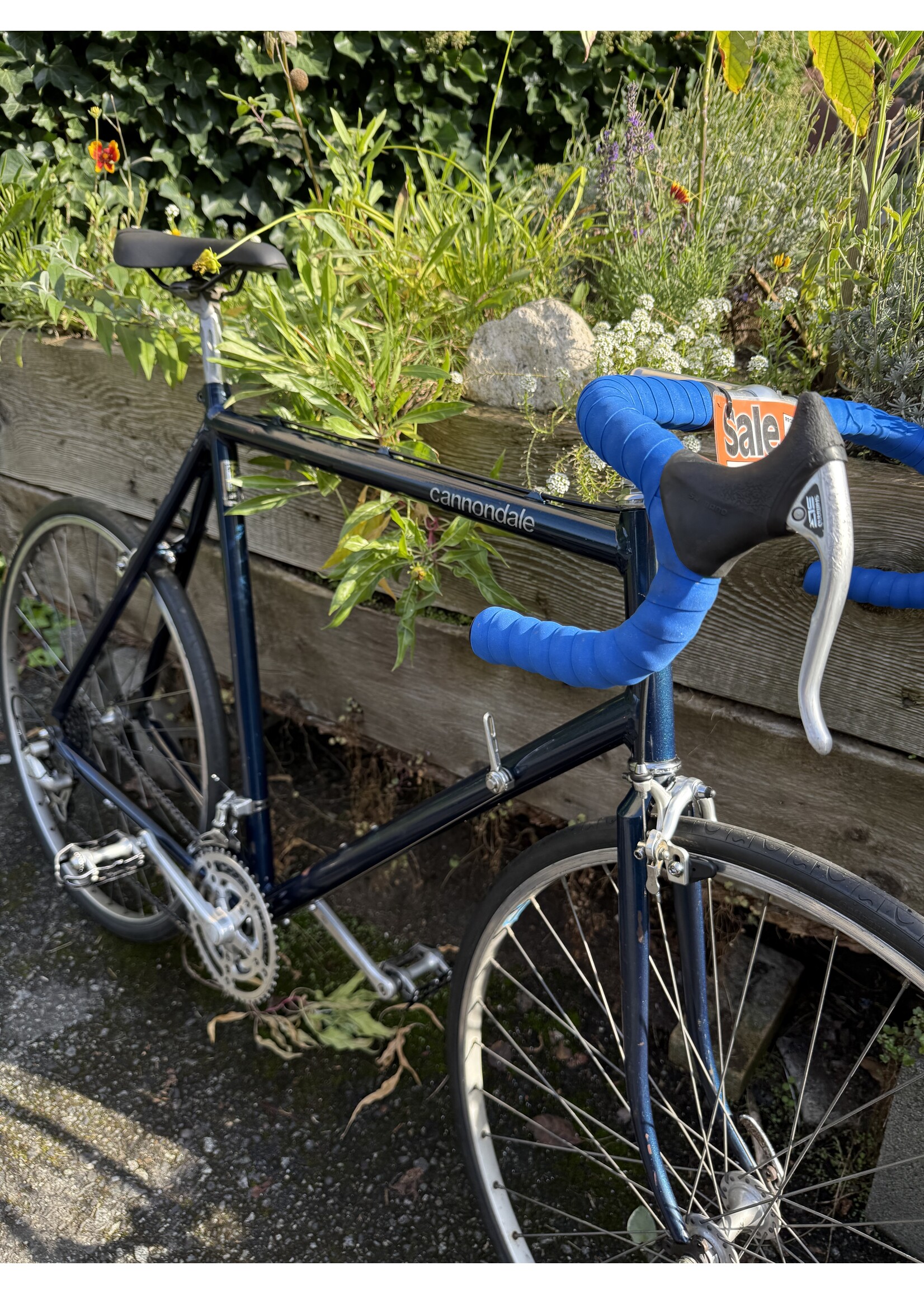 Cannondale Cannondale Vintage Road